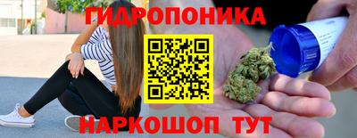 Альфа ПВП Боровичи