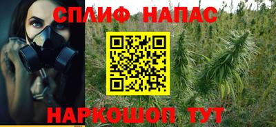 Альфа ПВП Боровичи