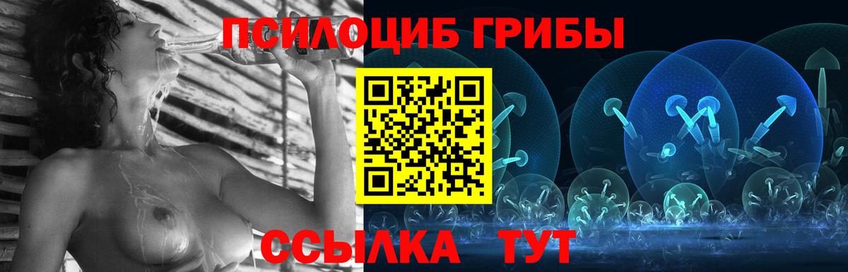 Сосновый Бор  Псилоцибиновые грибы GOLDEN TEACHER  закладки  Вход с VPN  Псилоцибиновые грибы мицелий 